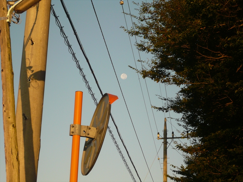 f:id:hachi-log:20090907053932j:plain