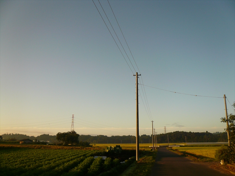 f:id:hachi-log:20090907054143j:plain