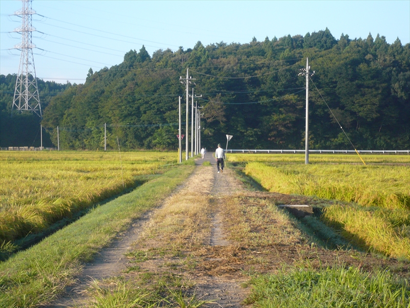 f:id:hachi-log:20090907060150j:plain