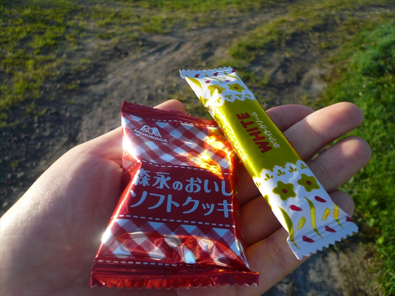 f:id:hachi-log:20090907060314j:plain
