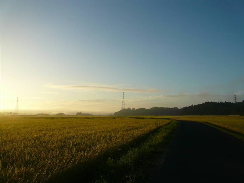 f:id:hachi-log:20090908053111j:plain