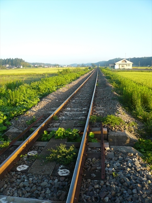 f:id:hachi-log:20090908053901j:plain