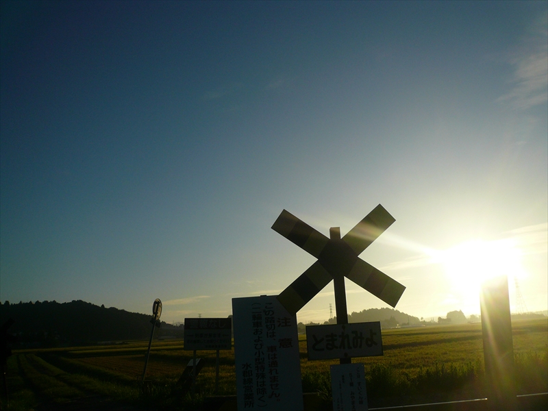 f:id:hachi-log:20090908053936j:plain
