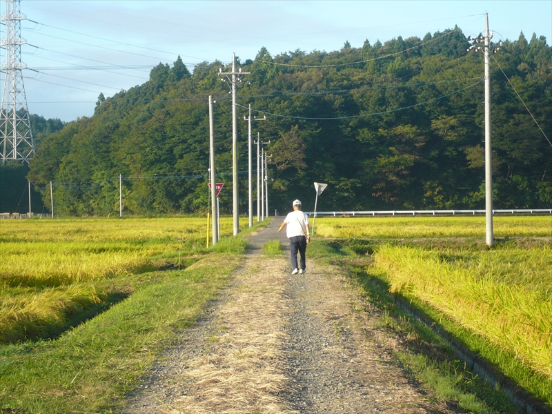 f:id:hachi-log:20090908060417j:plain
