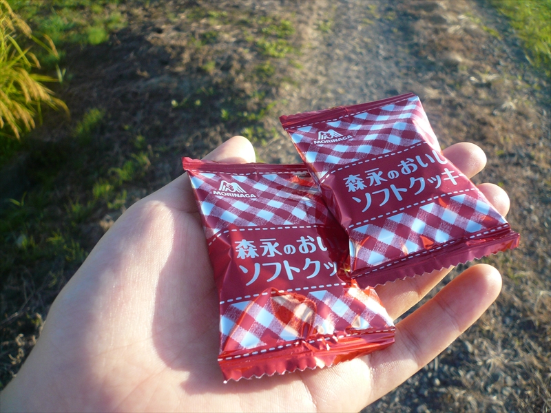 f:id:hachi-log:20090908060425j:plain
