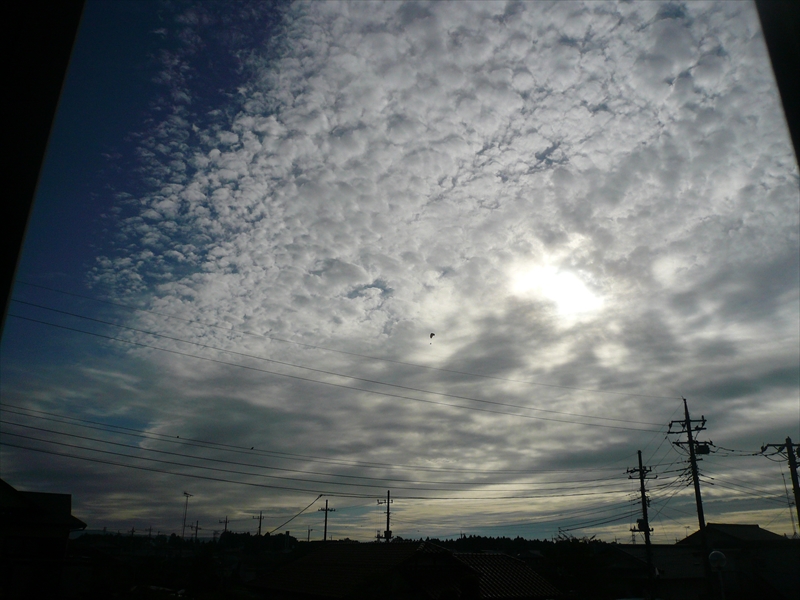 f:id:hachi-log:20090908065512j:plain