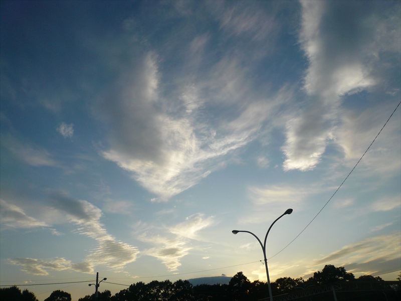 f:id:hachi-log:20090910172526j:plain