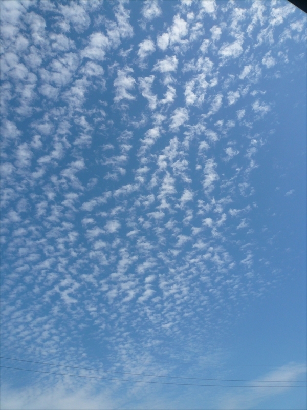 f:id:hachi-log:20090911114539j:plain