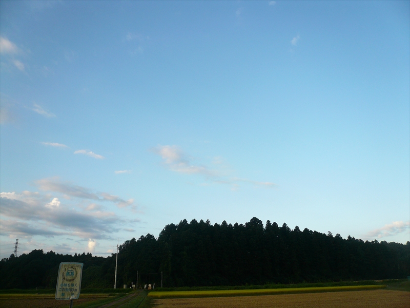 f:id:hachi-log:20090914055738j:plain