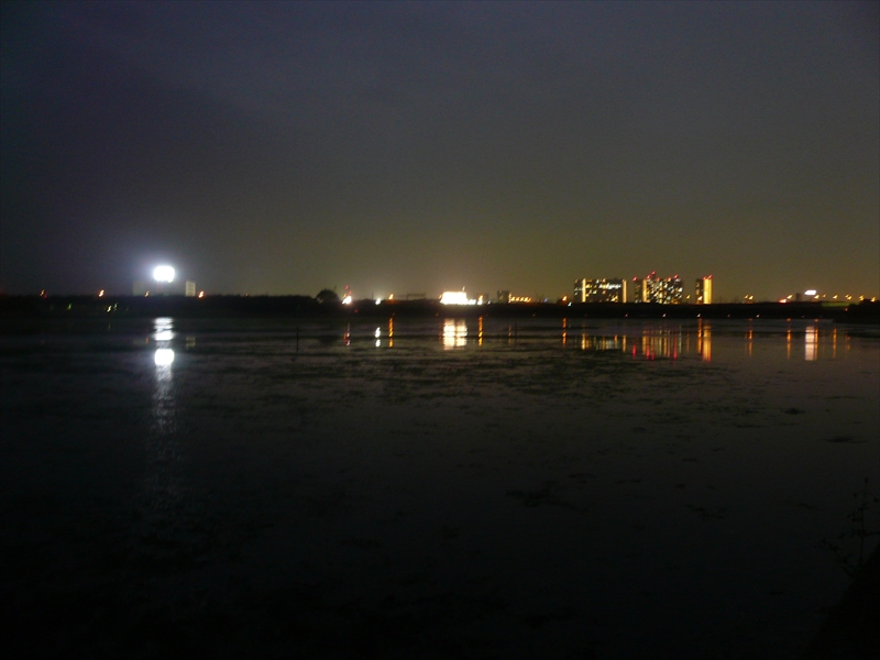 f:id:hachi-log:20090927175008j:plain
