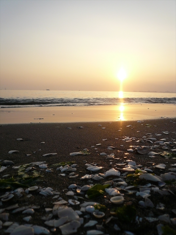 f:id:hachi-log:20091004164557j:plain