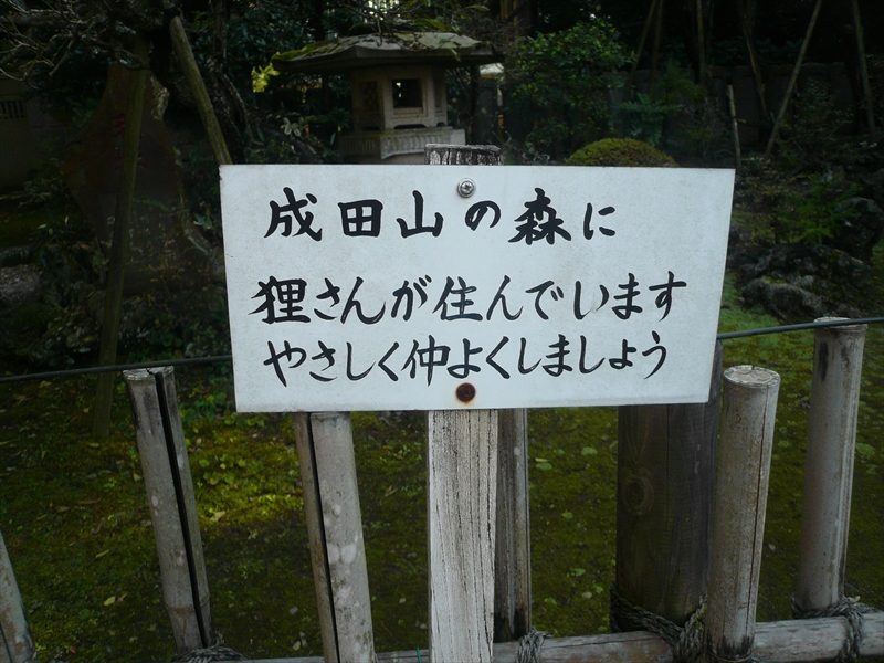 f:id:hachi-log:20091015124834j:plain