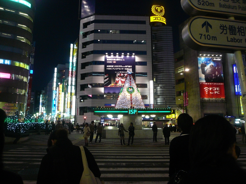 f:id:hachi-log:20091104165916j:plain