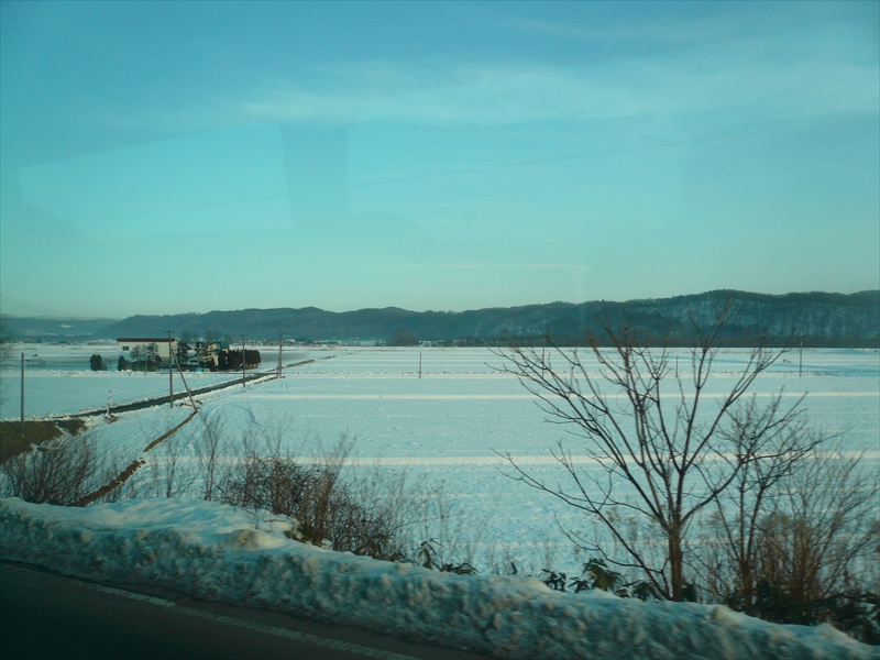 f:id:hachi-log:20091211144942j:plain
