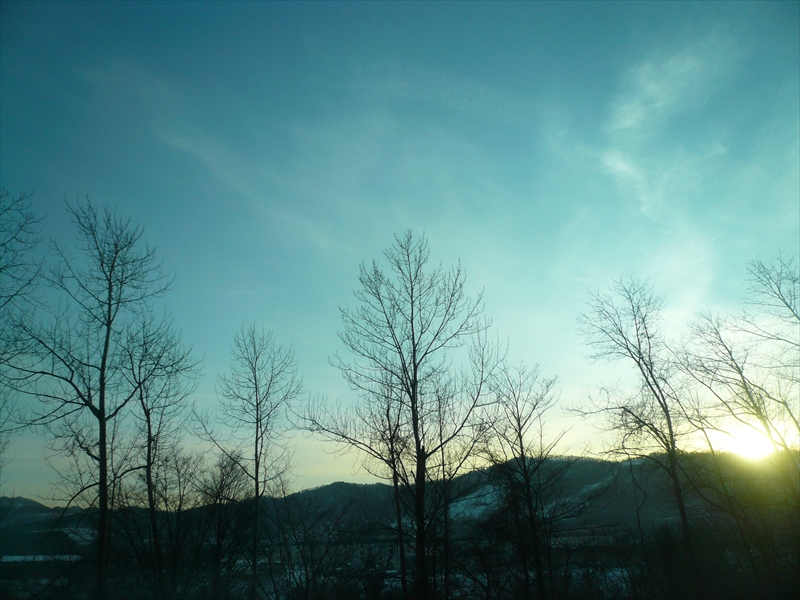 f:id:hachi-log:20091211150102j:plain