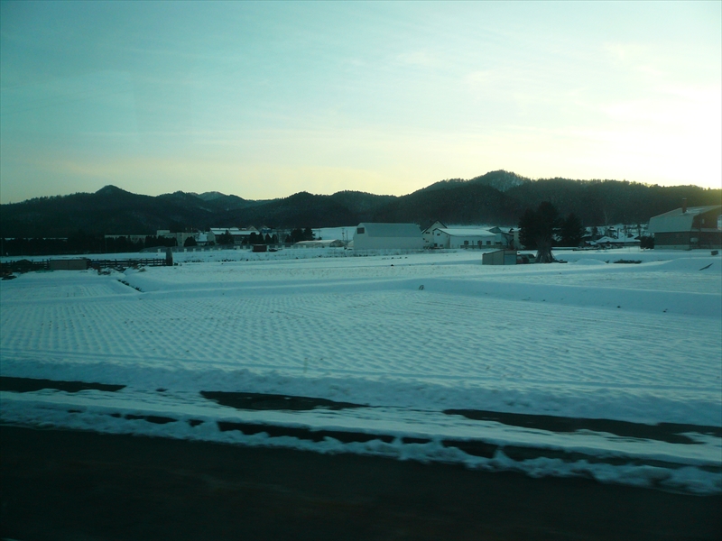 f:id:hachi-log:20091211152451j:plain