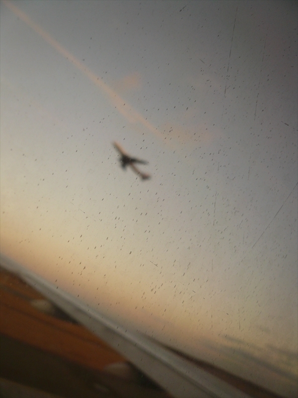 f:id:hachi-log:20091213153652j:plain