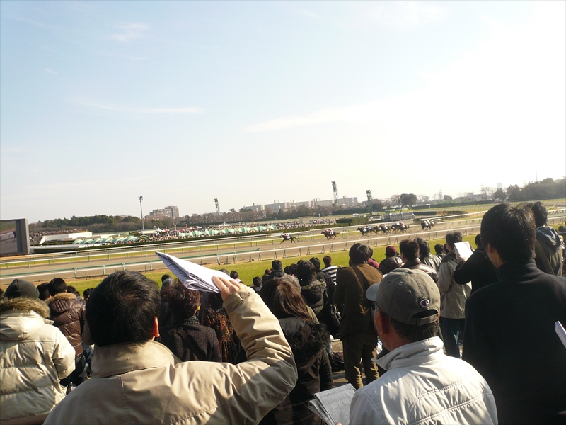 f:id:hachi-log:20091227124029j:plain