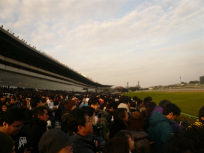 f:id:hachi-log:20091227145912j:plain