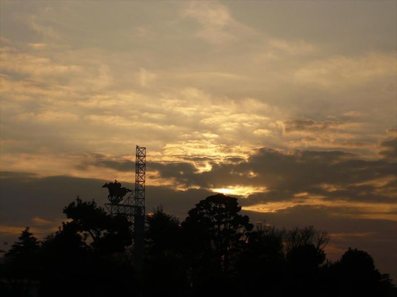 f:id:hachi-log:20091227153932j:plain
