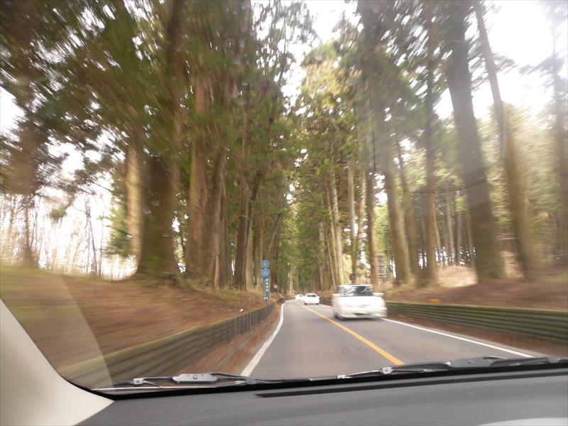 f:id:hachi-log:20100103125309j:plain