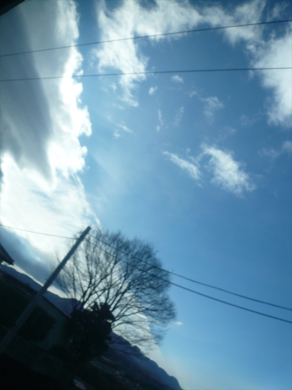 f:id:hachi-log:20100121134337j:plain