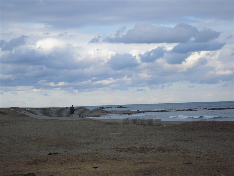 f:id:hachi-log:20100204151107j:plain