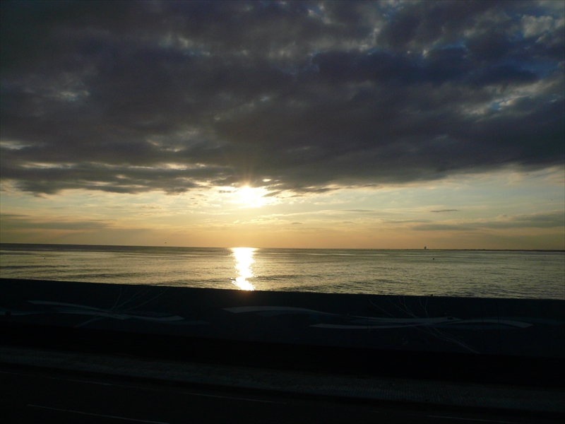 f:id:hachi-log:20100204161434j:plain