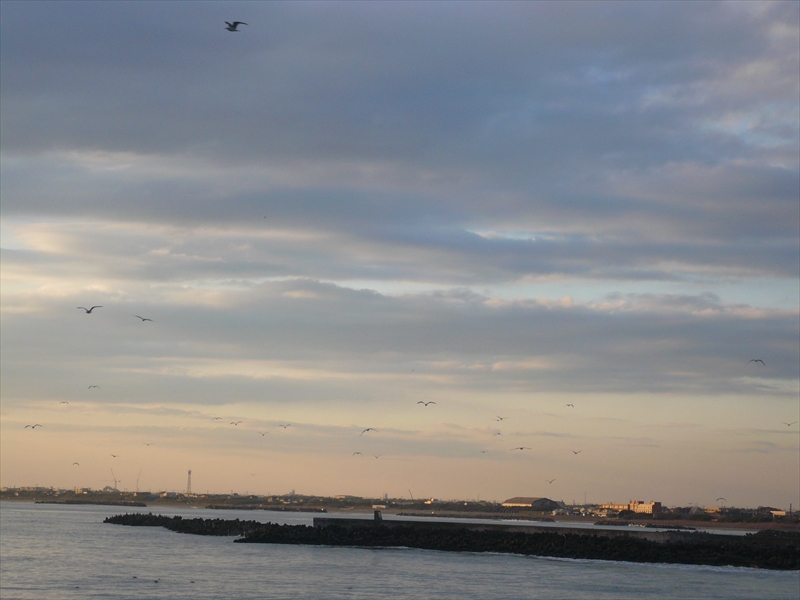 f:id:hachi-log:20100204162103j:plain
