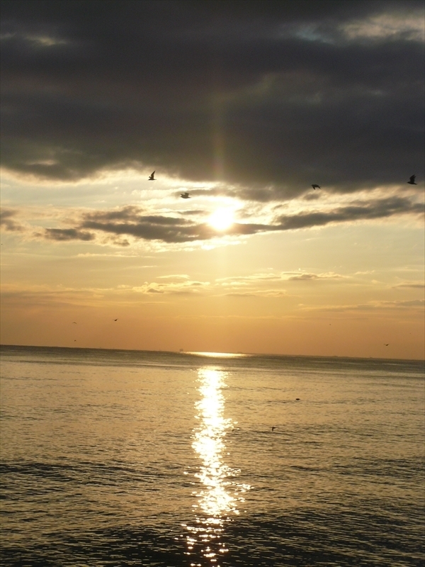 f:id:hachi-log:20100204162117j:plain