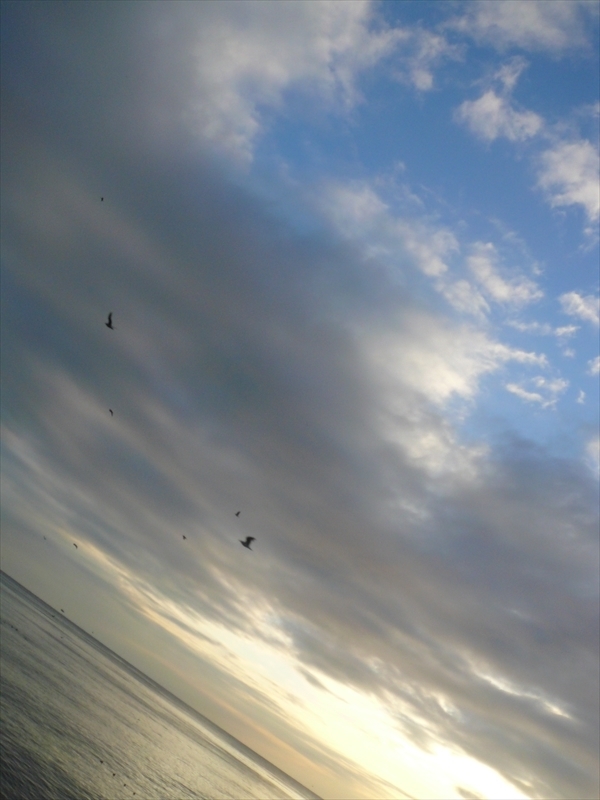 f:id:hachi-log:20100204162125j:plain