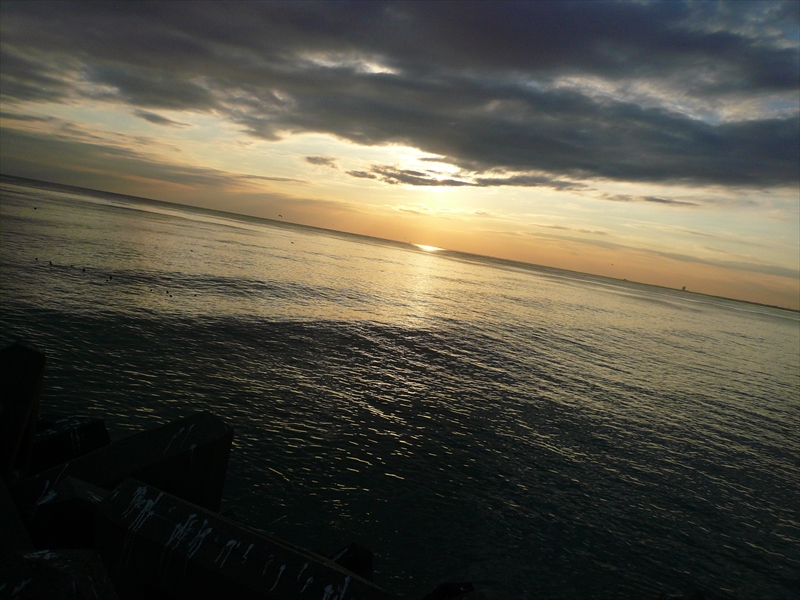 f:id:hachi-log:20100204162210j:plain