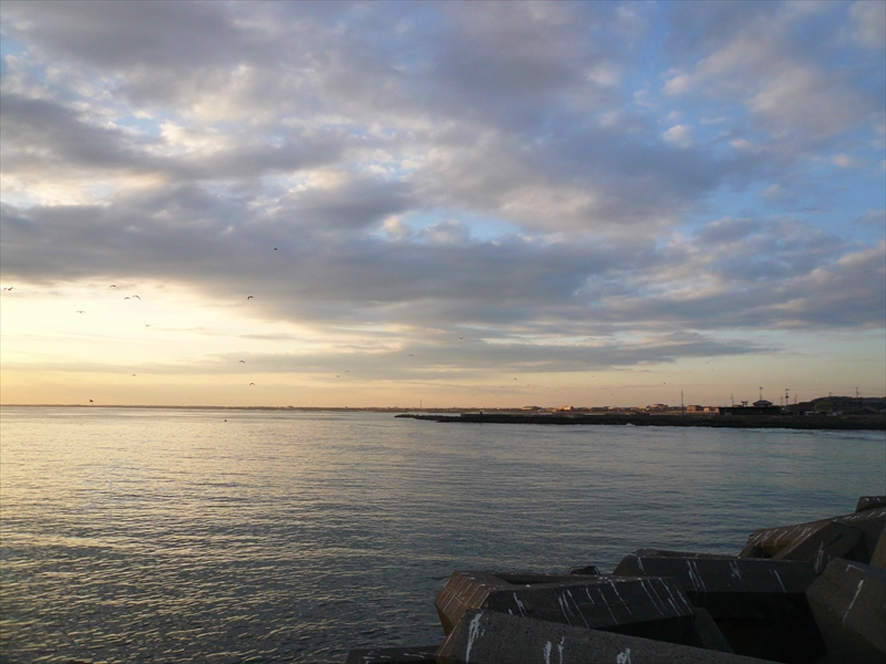 f:id:hachi-log:20100204162258j:plain