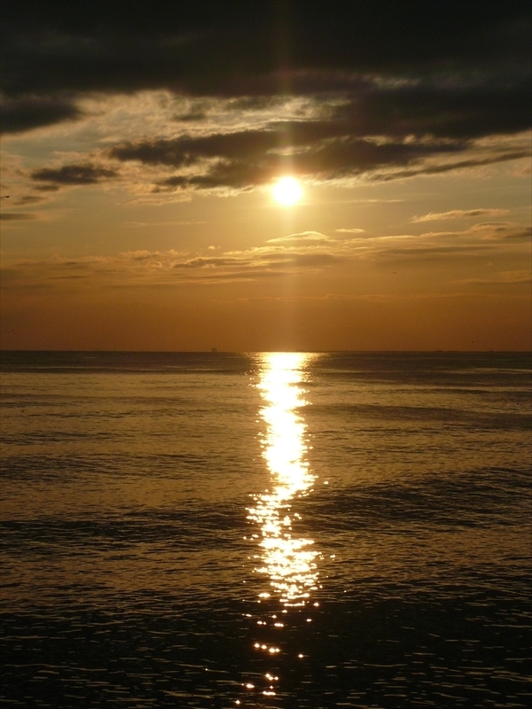 f:id:hachi-log:20100204162537j:plain