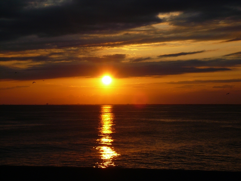 f:id:hachi-log:20100204164143j:plain