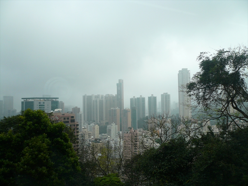f:id:hachi-log:20100301105505j:plain