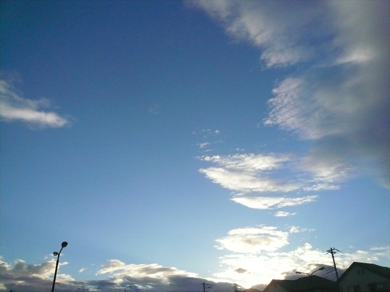 f:id:hachi-log:20100401172011j:plain