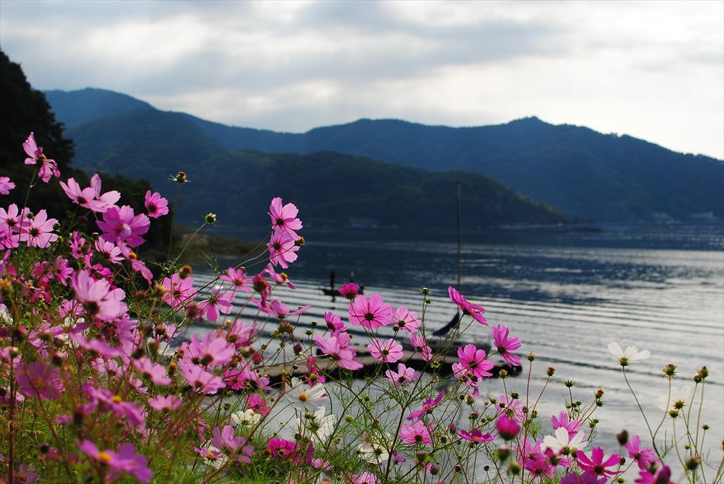 f:id:hachi-log:20150929084413j:plain f:id:hachi-log:20150929084413j:plain