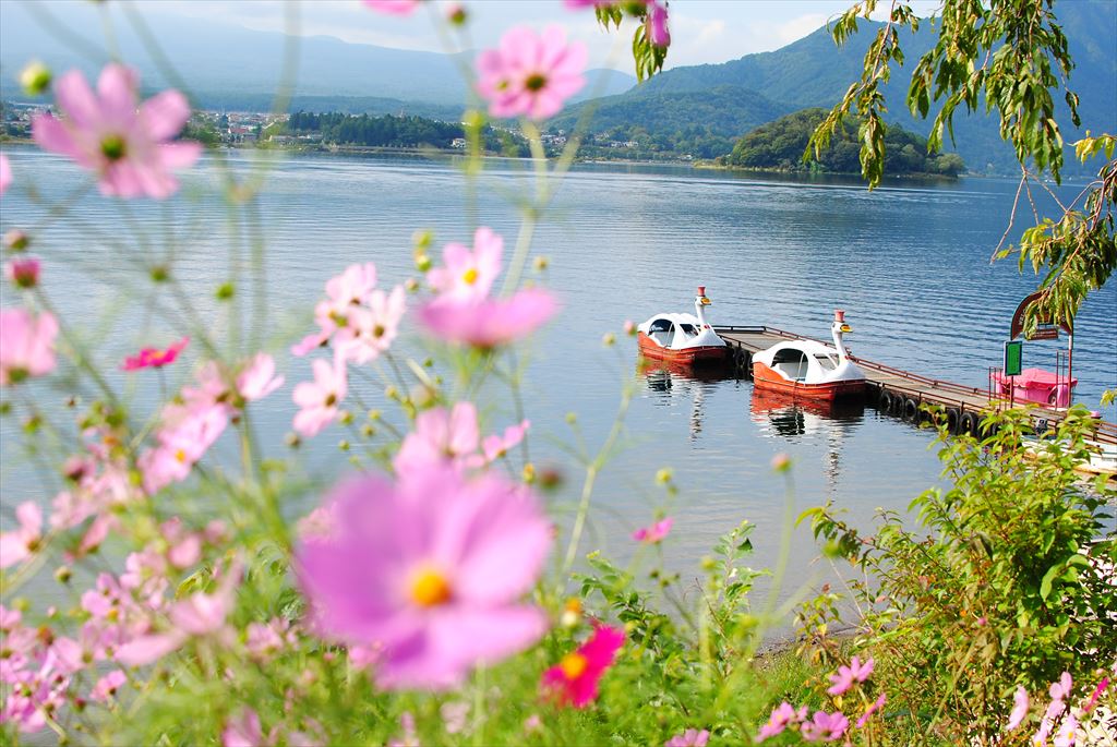 f:id:hachi-log:20150929084759j:plain f:id:hachi-log:20150929084759j:plain