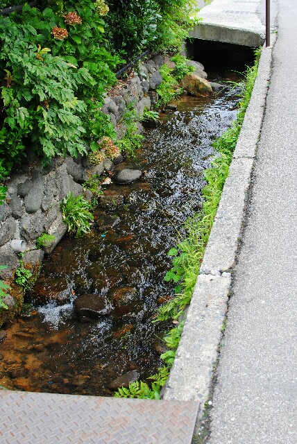 f:id:hachi-log:20160827175750j:plain