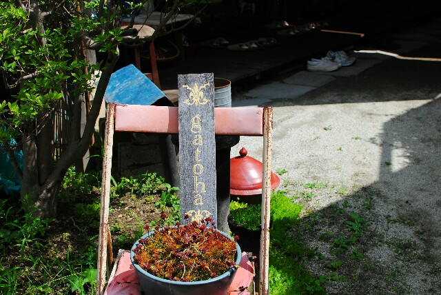 f:id:hachi-log:20160827182156j:plain