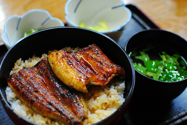 f:id:hachi-log:20160827182424j:plain