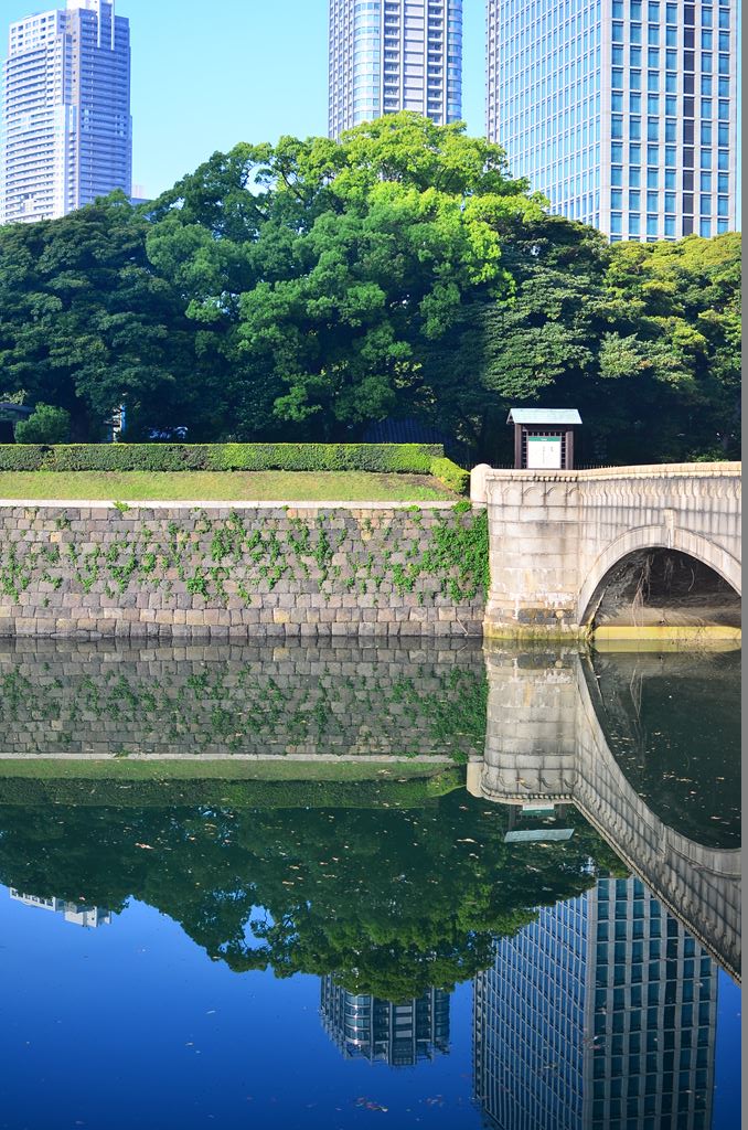 f:id:hachi-log:20180421063546j:plain