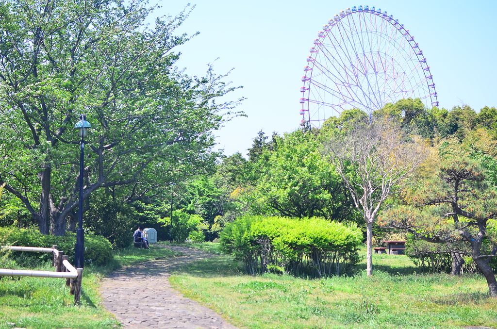 f:id:hachi-log:20180421123058j:plain