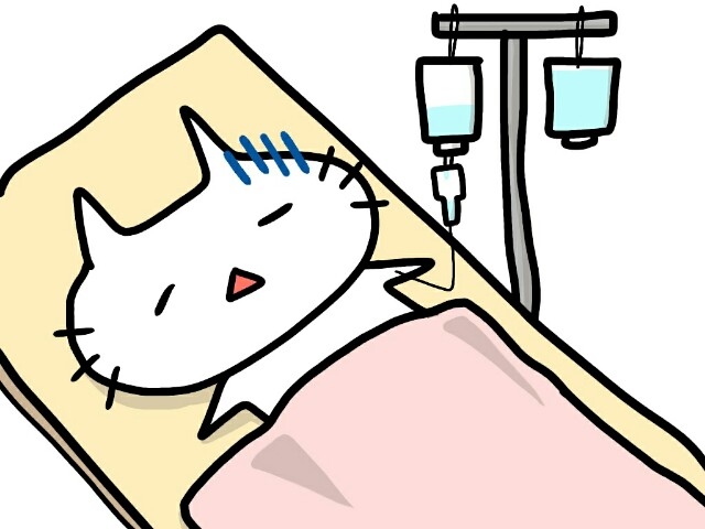 f:id:hachi-log:20180717202048j:image f:id:hachi-log:20180717202048j:image