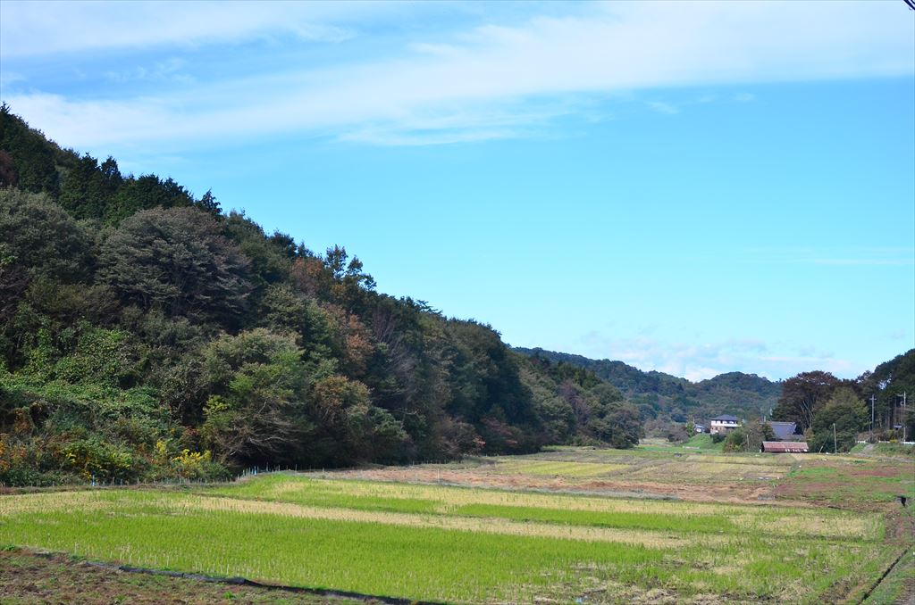 f:id:hachi-log:20181031101526j:plain