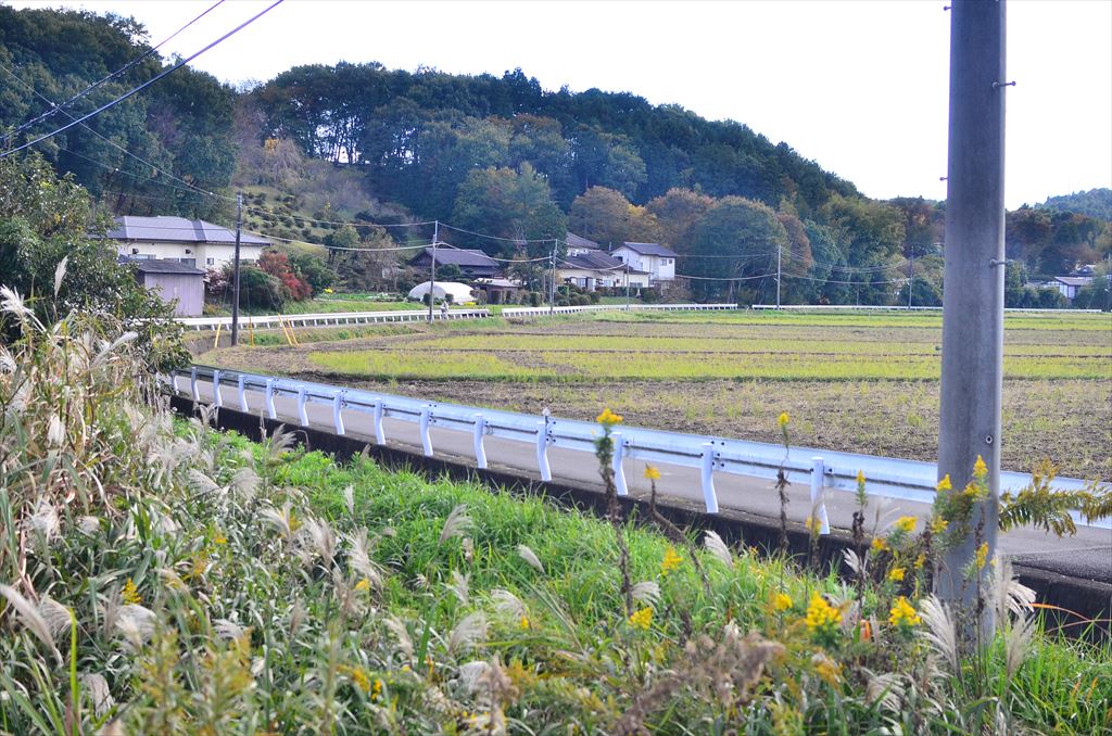 f:id:hachi-log:20181031141637j:plain