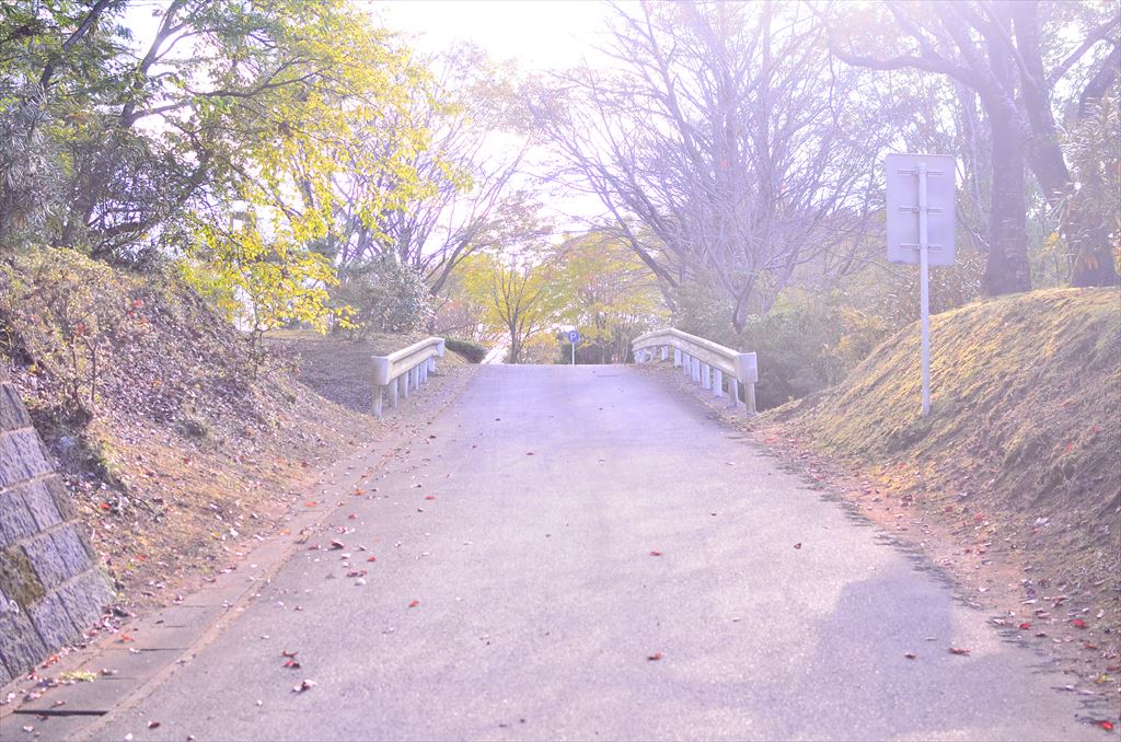 f:id:hachi-log:20181031142902j:plain