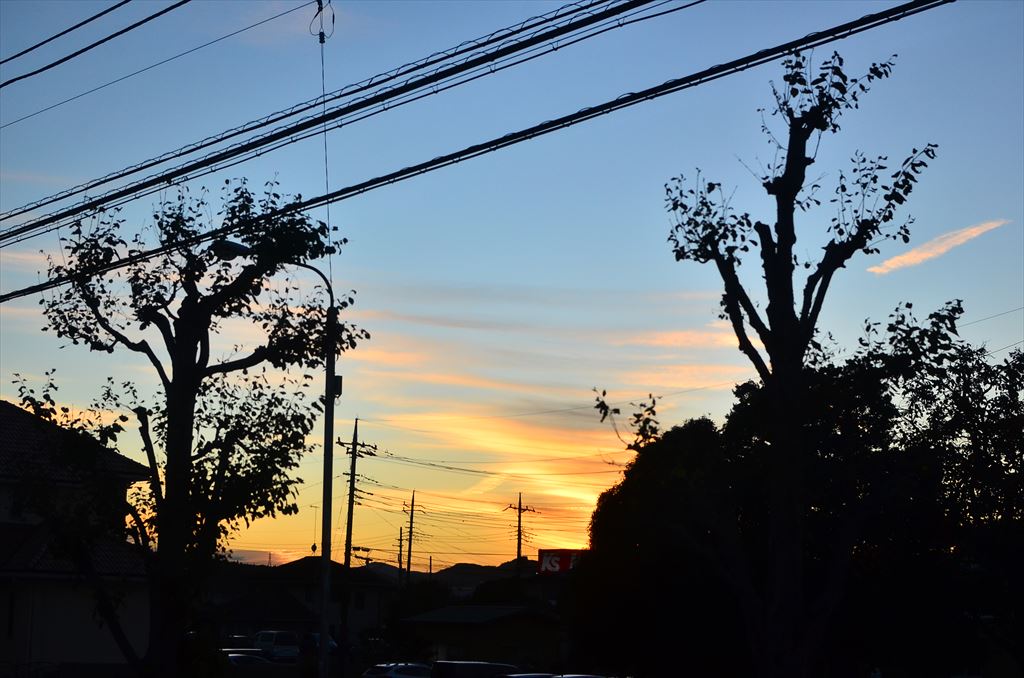 f:id:hachi-log:20181031164253j:plain