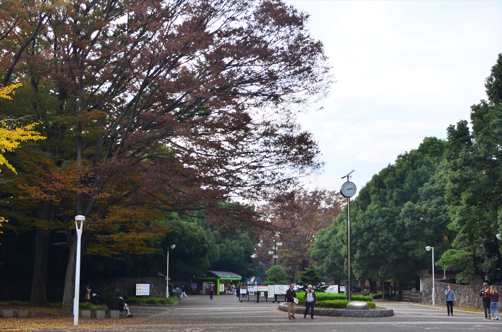 f:id:hachi-log:20181112141241j:plain